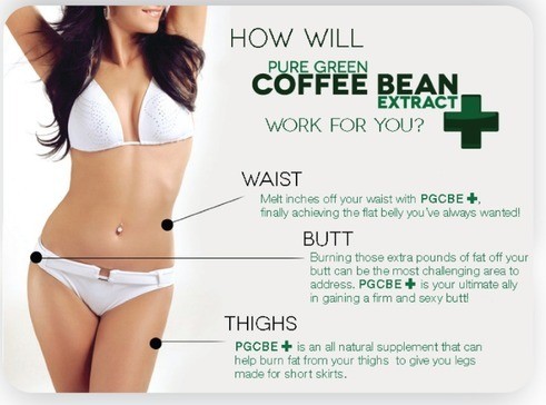 How Green Coffee Bean Max works